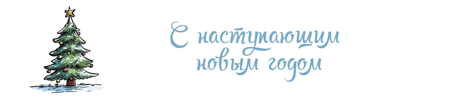 с Наступающим Новым 2025 годом